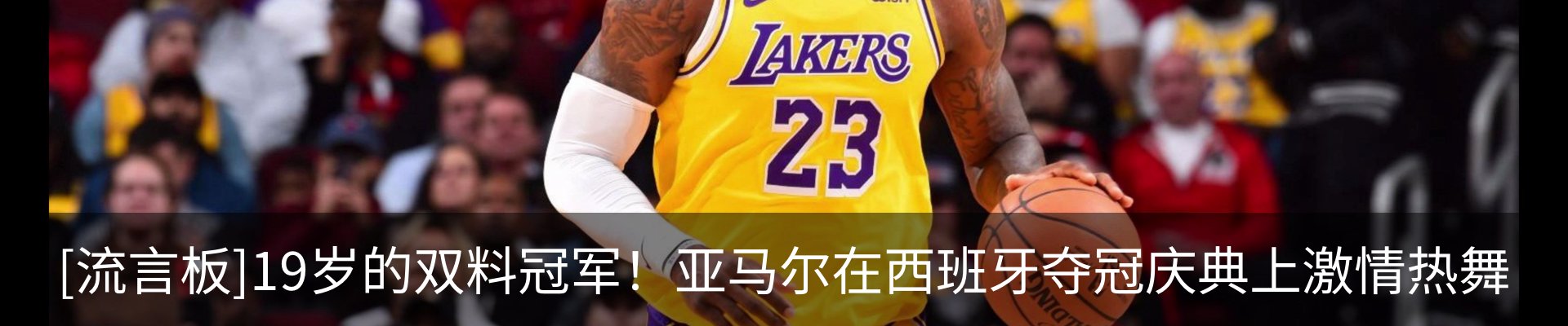 新闻动态
